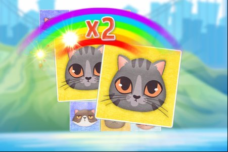 Kitten Match