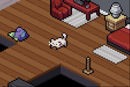 Scatter Paws