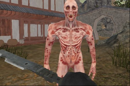 Warrior vs Zombies