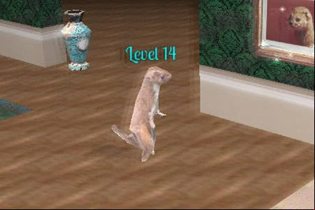 Weasel Words